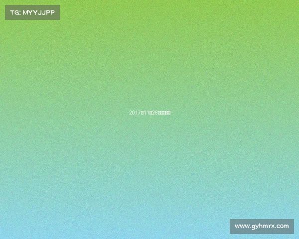 2017年11月26日男篮比赛